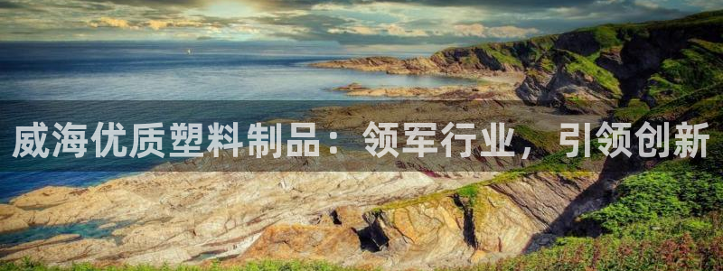 太阳集团备用网址：威海优质塑料制品：领军行业，引领创新