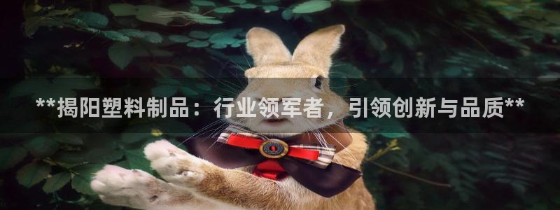 太阳游戏城：**揭阳塑料制品：行业领军者，引领创新与品质**