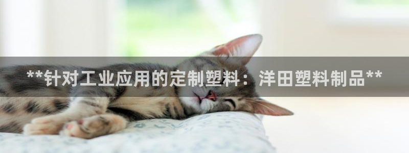 太阳集团是什么集团：**针对工业应用的定制塑料：洋田塑料制品