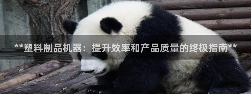 太阳游戏盒子：**塑料制品机器：提升效率和产品质量的终极指南
