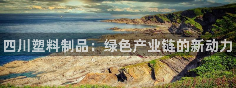 太阳集团董事长的儿子照片：四川塑料制品：绿色产业链的新动力