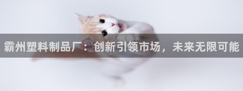 太阳集团注册：霸州塑料制品厂：创新引领市场，未来无限可能