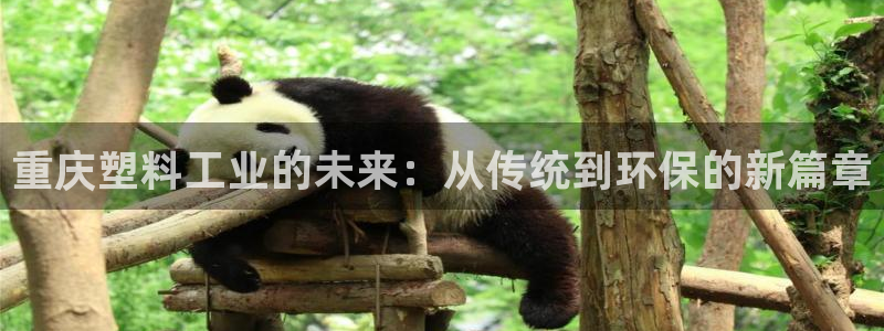 太阳app下载安装：重庆塑料工业的未来：从传统到环保的新篇章