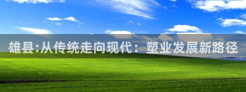 太阳成集团洗米华：雄县:从传统走向现代：塑业发展新路径