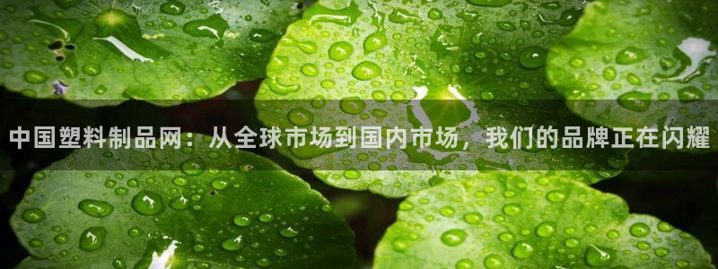 太阳游戏城：中国塑料制品网：从全球市场到国内市场，我们的品牌