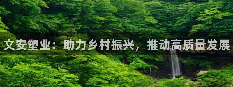 太阳集团公司董事长：文安塑业：助力乡村振兴，推动高质量发展