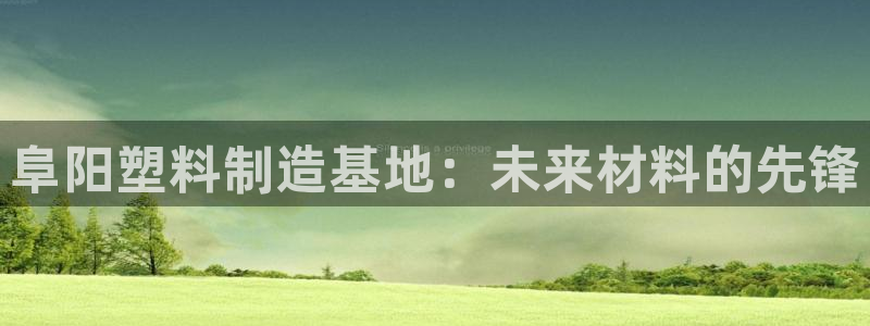 太阳集团1383：阜阳塑料制造基地：未来材料的先锋