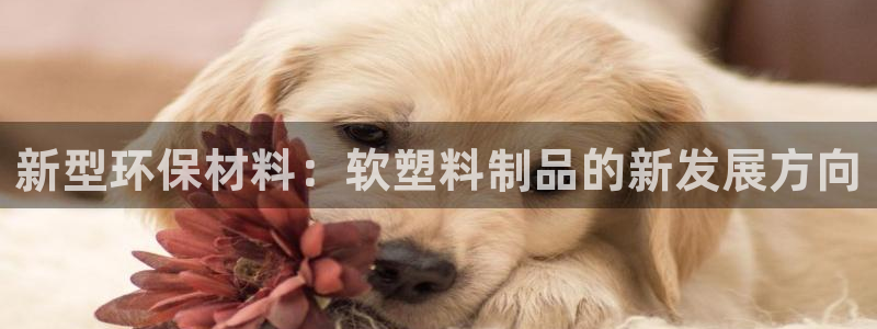 太阳诚集团有限公司地址：新型环保材料：软塑料制品的新发展方向