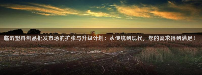 8827太阳集团：临沂塑料制品批发市场的扩张与升级计划：从传
