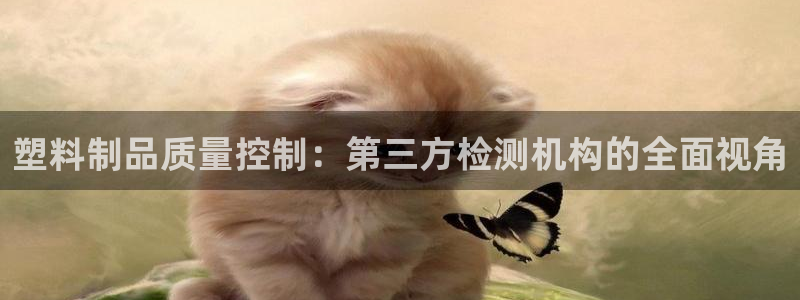 2018太阳集团游戏网站：塑料制品质量控制：第三方检测机构的