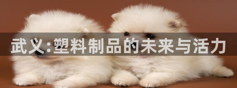 太阳集团网站古天乐代言的：武义:塑料制品的未来与活力
