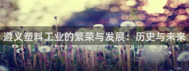 太阳集团tcy8099：遵义塑料工业的繁荣与发展：历史与未来