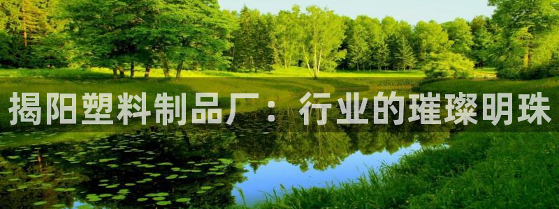 太阳贵宾城：揭阳塑料制品厂：行业的璀璨明珠
