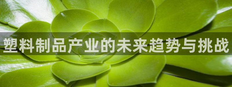 太阳2注册官网下载：塑料制品产业的未来趋势与挑战