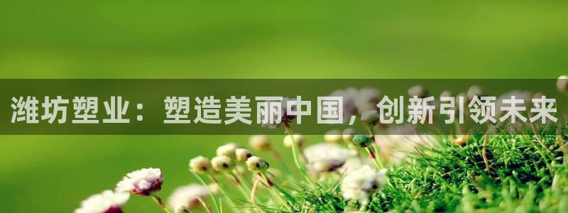 太阳影业投资：潍坊塑业：塑造美丽中国，创新引领未来