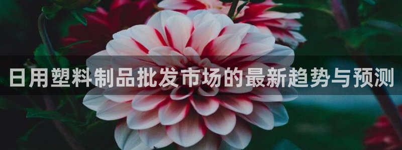太阳成集团tyc234cc古天乐下载：日用塑料制品批发市场的