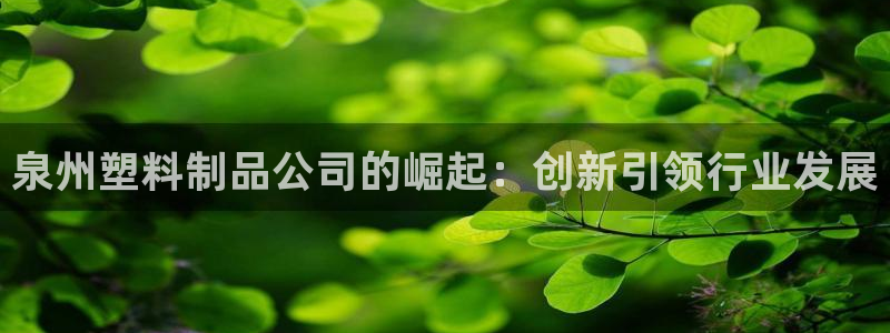 太阳集团2007：泉州塑料制品公司的崛起：创新引领行业发展