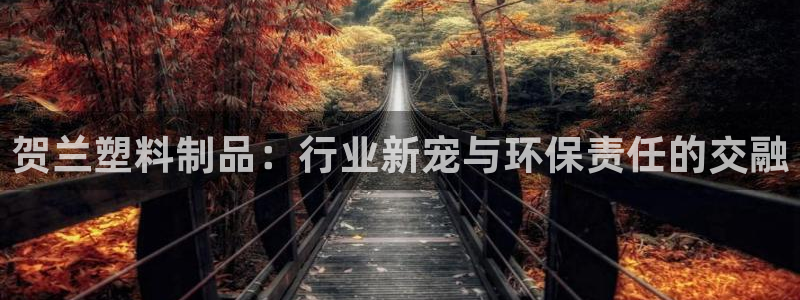 太阳集团不能提现怎么办：贺兰塑料制品：行业新宠与环保责任的交