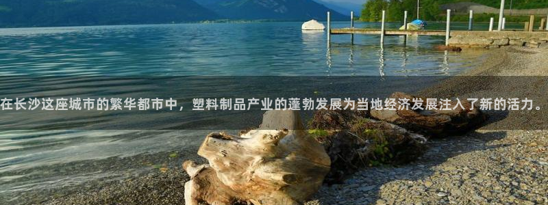 太阳集团网址8722：在长沙这座城市的繁华都市中，塑料制品产