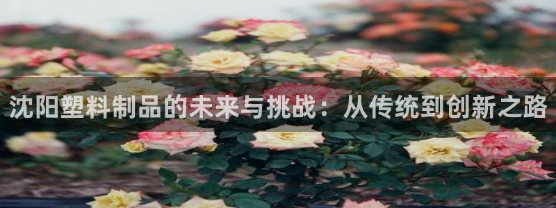 太阳集团电子游戏官方版：沈阳塑料制品的未来与挑战：从传统到创