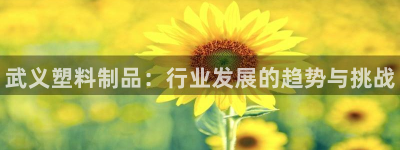 太阳成集团tyc9728：武义塑料制品：行业发展的趋势与挑战