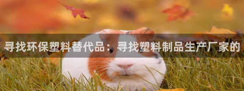 太阳集团网址：寻找环保塑料替代品：寻找塑料制品生产厂家的
