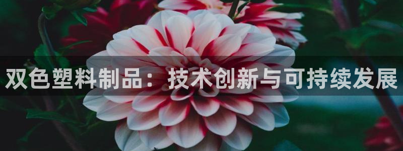 太阳集团电子游戏官网：双色塑料制品：技术创新与可持续发展