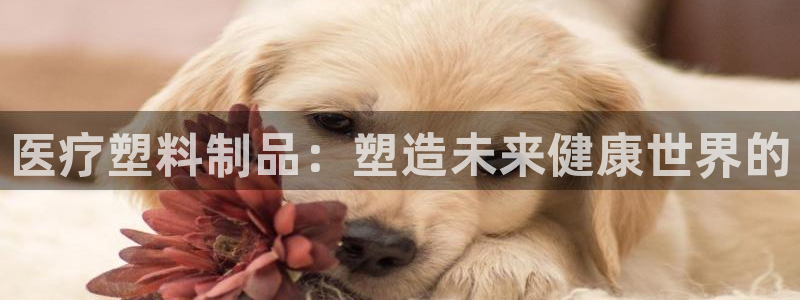 太阳集团网站游戏：医疗塑料制品：塑造未来健康世界的