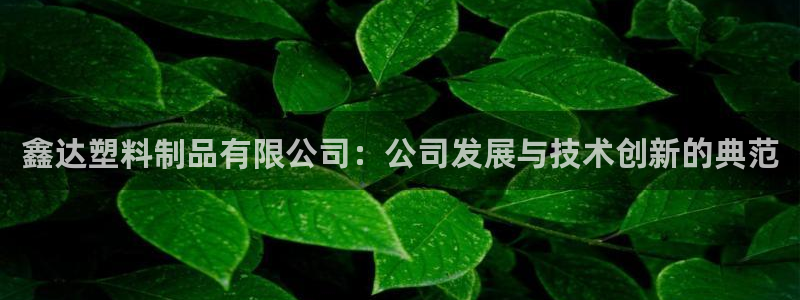 太阳成集团tyc122cc下载：鑫达塑料制品有限公司：公司发