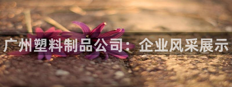 太阳控股集团有限公司董事长：广州塑料制品公司：企业风采展示