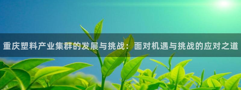2138cn太阳集团古天乐：重庆塑料产业集群的发展与挑战：面