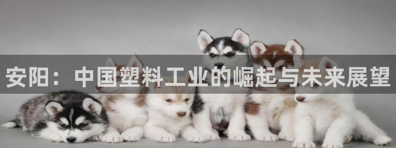 太阳集团游戏官方8722：安阳：中国塑料工业的崛起与未来展望