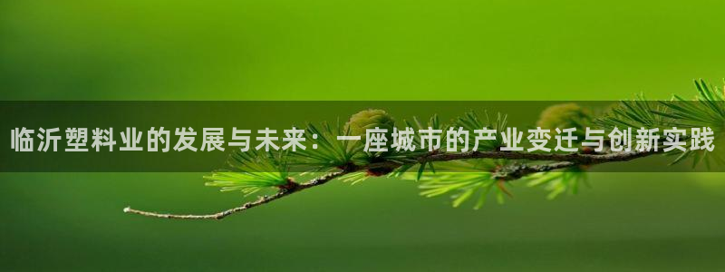 太阳集团城网官方入口：临沂塑料业的发展与未来：一座城市的产业