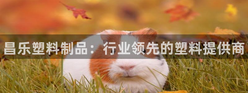 太阳诚集团有限公司是国企吗：昌乐塑料制品：行业领先的塑料提供