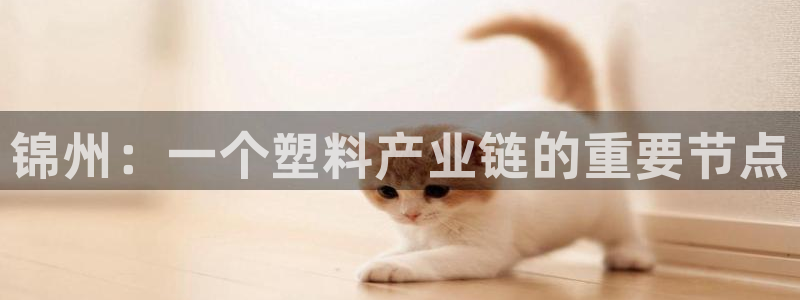 太阳集团城2017：锦州：一个塑料产业链的重要节点
