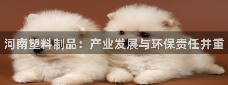 太阳成集团app下载：河南塑料制品：产业发展与环保责任并重